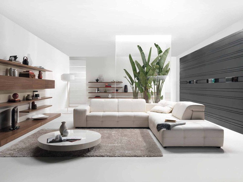 SURROUND by Natuzzi